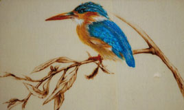 Martin pescatore su canne, pirografia e pastello su massello di ginepro,  29x6.5 cm.   2011.