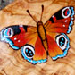 Portaoggetti con farfalla, pirografia e acrilico su massello di ulivo, 19x9.5 cm.  2011.