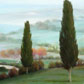 Settembre in val dOrcia, olio su tela, 90x120 cm.